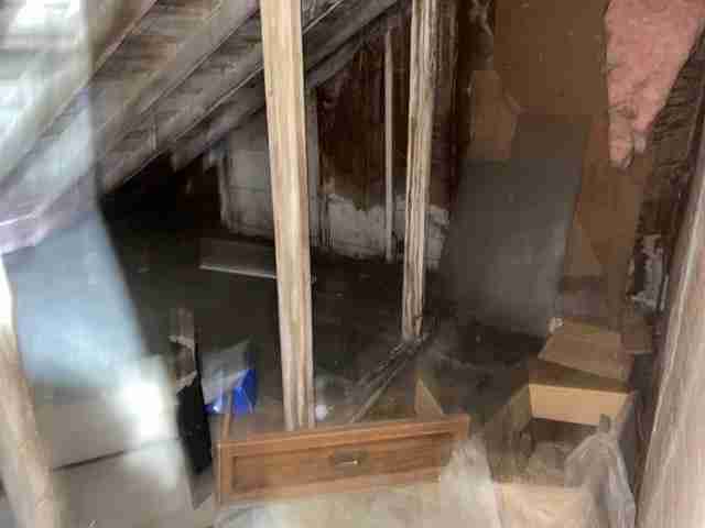 Testing again(35).jpg